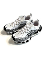 画像をギャラリービューアに読み込む, WAVE PROPHECY 13.2