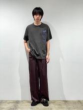 Satin painter pants